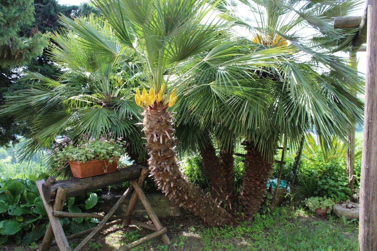 Agriturismo La Rovere Cossano Belbo Kültér fotó